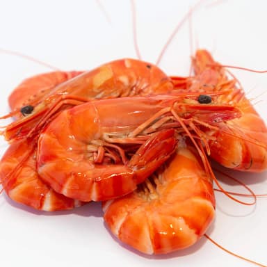 Prawns